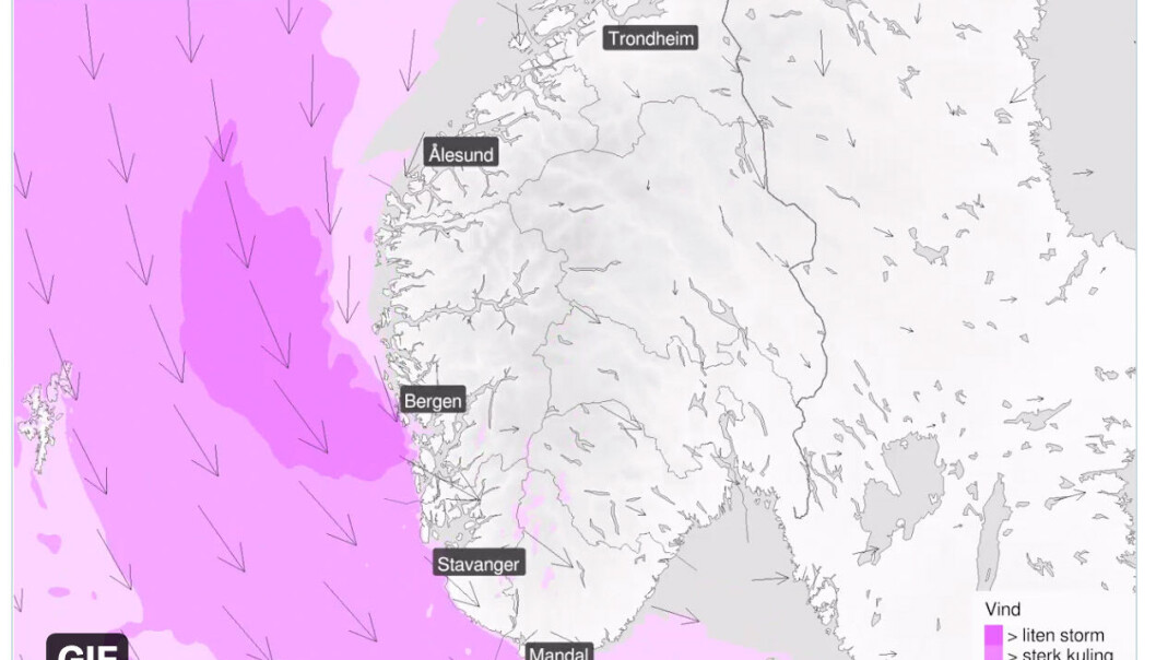 PROGNOSE: Dette er vindmeldingen for i dag, torsdag kl. 18.00. PROGNOSE: Dette er vindmeldingen for i dag, torsdag kl. 18.00.