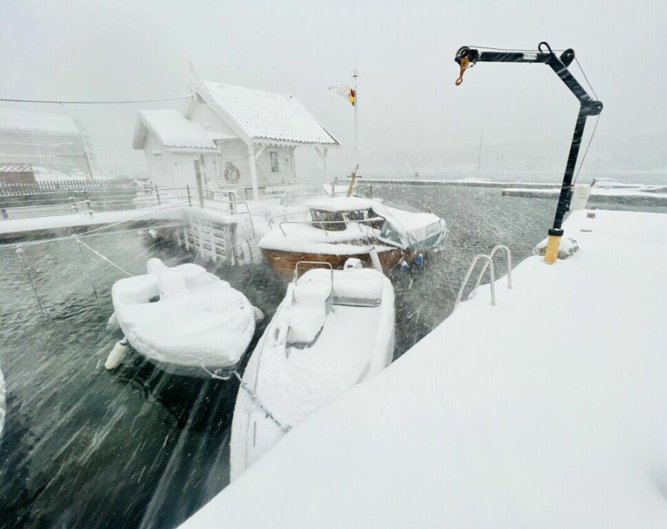UVÆR: Vind og store mengder snø i Langesund i dag. Mange båter ligger allerede tynget ned av snø.