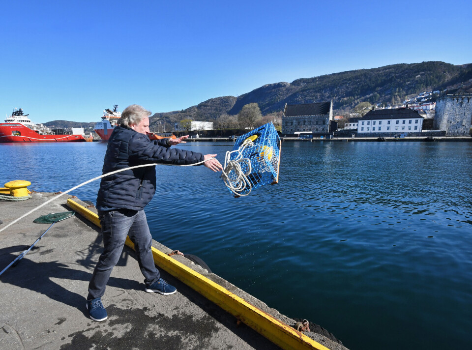 Hummerfiske Rogn Hummerfiske i Norge: Hvordan få tillatelse og følge reglene