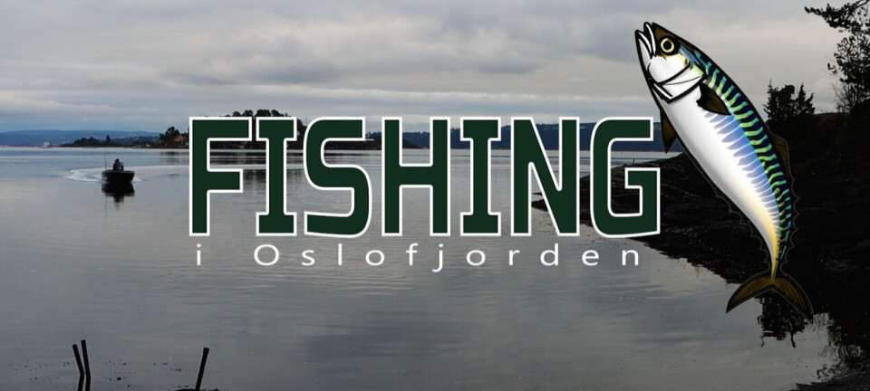 Fishing i Oslofjorden