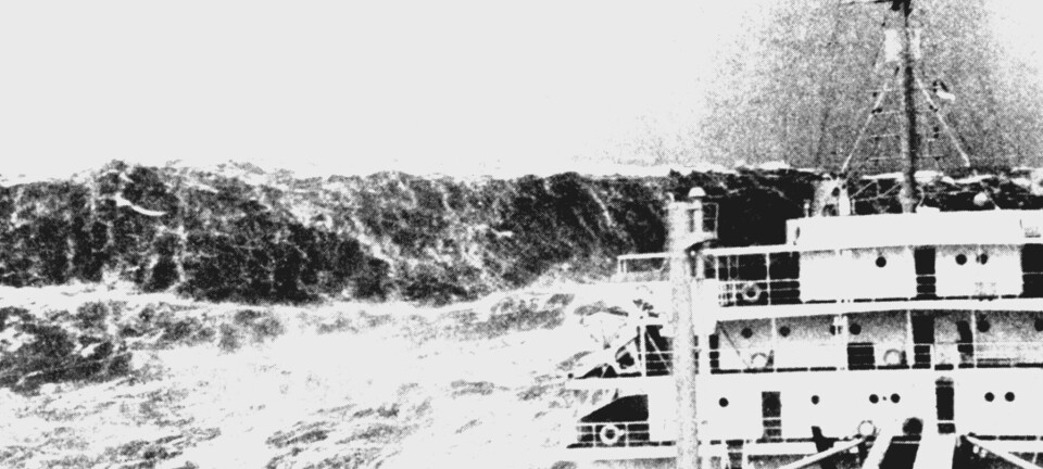 Når bølgene tar over – Farer i havet du kan møte