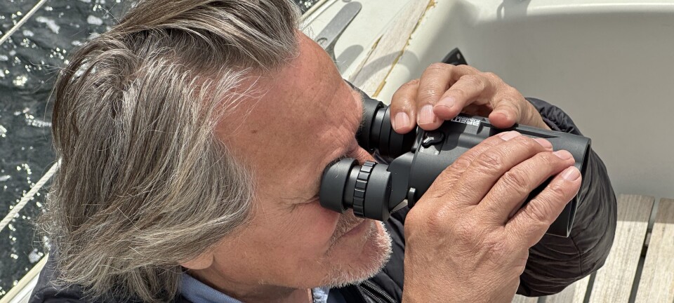 Test: Hi-tech vs tradisjonell kikkert