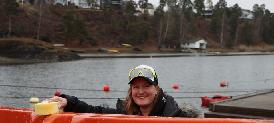 Torskens sjekketips for vårpussen - Vasking