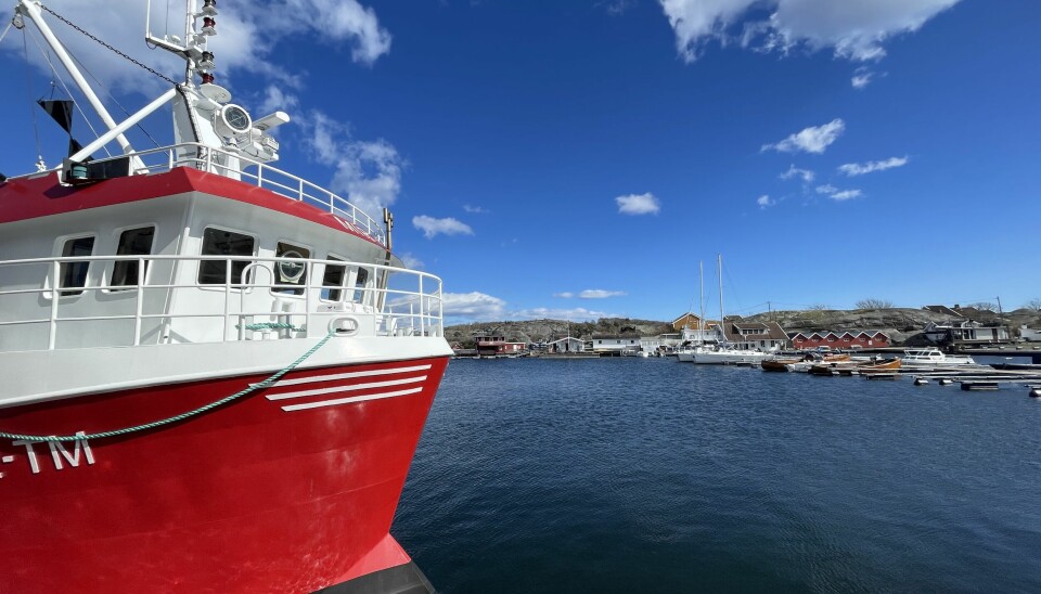 HAVFORSKNINGSINSTITUTTET rangerer fritidsfiske og yrkesfiske som den største trusselen mot livet i Oslofjorden i ny rapport.