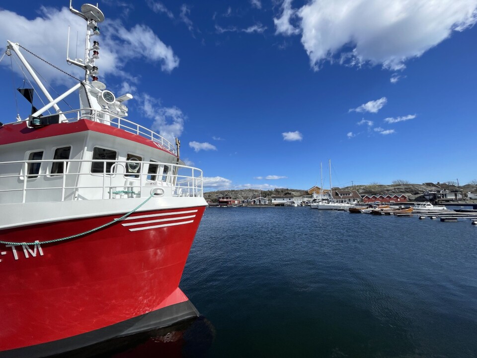 HI:– Fritidsfiske og yrkesfiske største trussel mot livet i Ytre Oslofjord