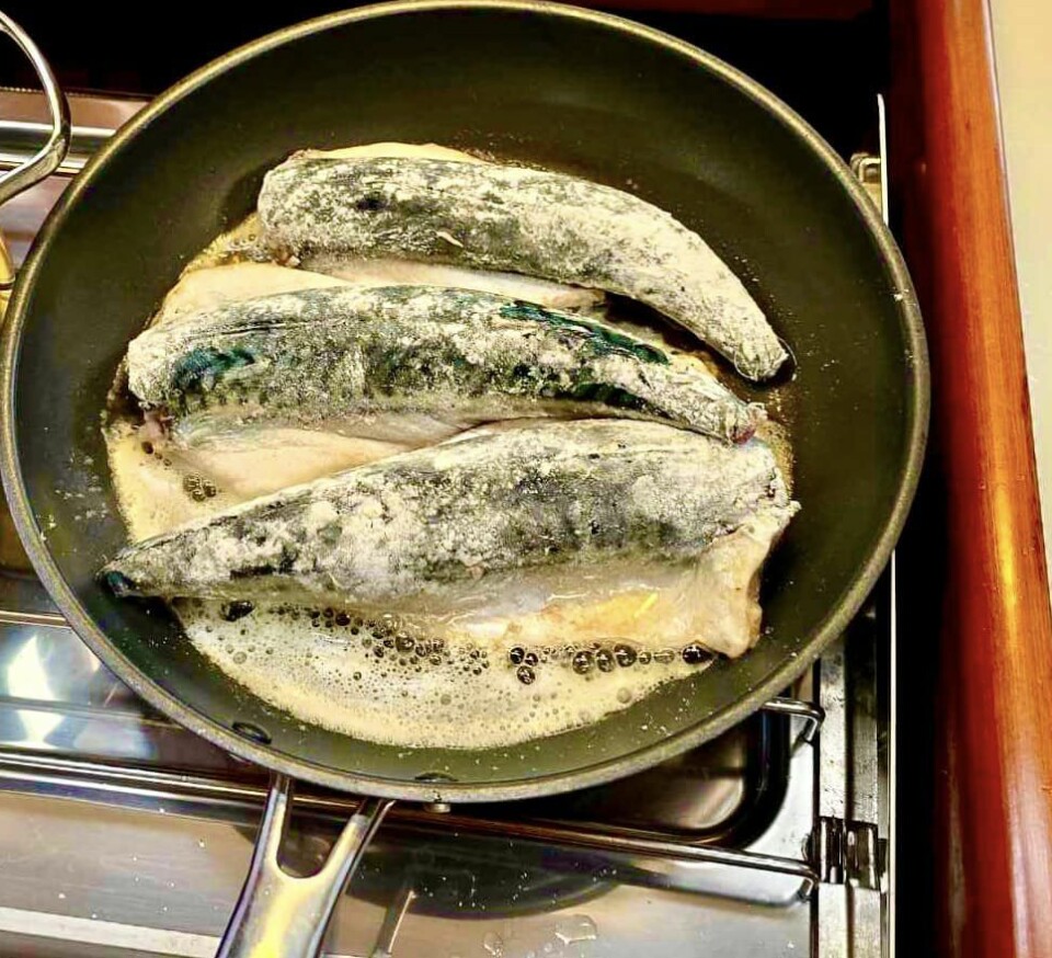 KAPTEINENS MAKRELL Todays catch. KAPTEINENS MAKRELL Todays catch.