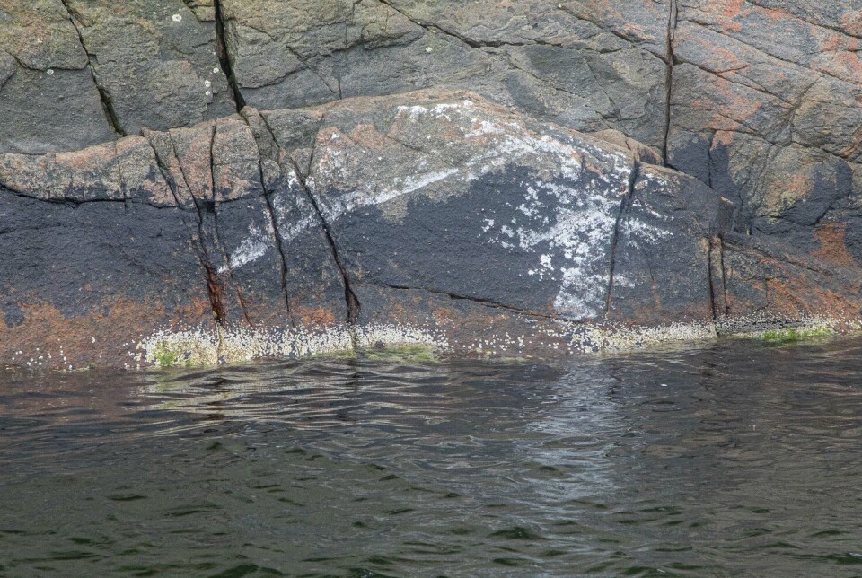 SPOR: Etter hendelsen.