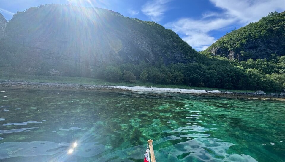 RAMSØYA er et pardis. Så klart i vannet. RAMSØYA er et pardis. Så klart i vannet.