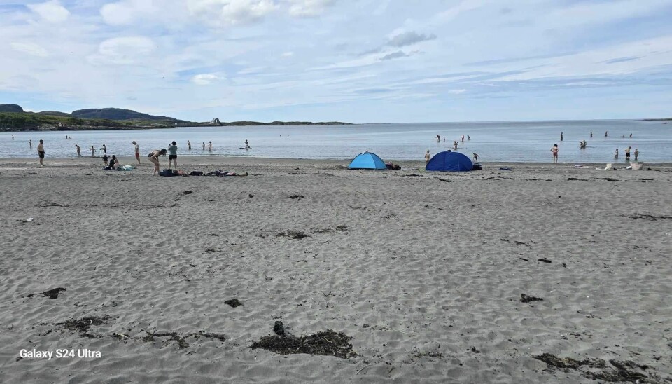 SYDENTILSTANDER nordover i år. Hosenstrand på Stokkøy. SYDENTILSTANDER nordover i år. Hosenstrand på Stokkøy.