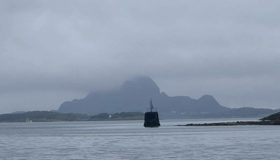 GRÅTT, grått og grått. GRÅTT, grått og grått.