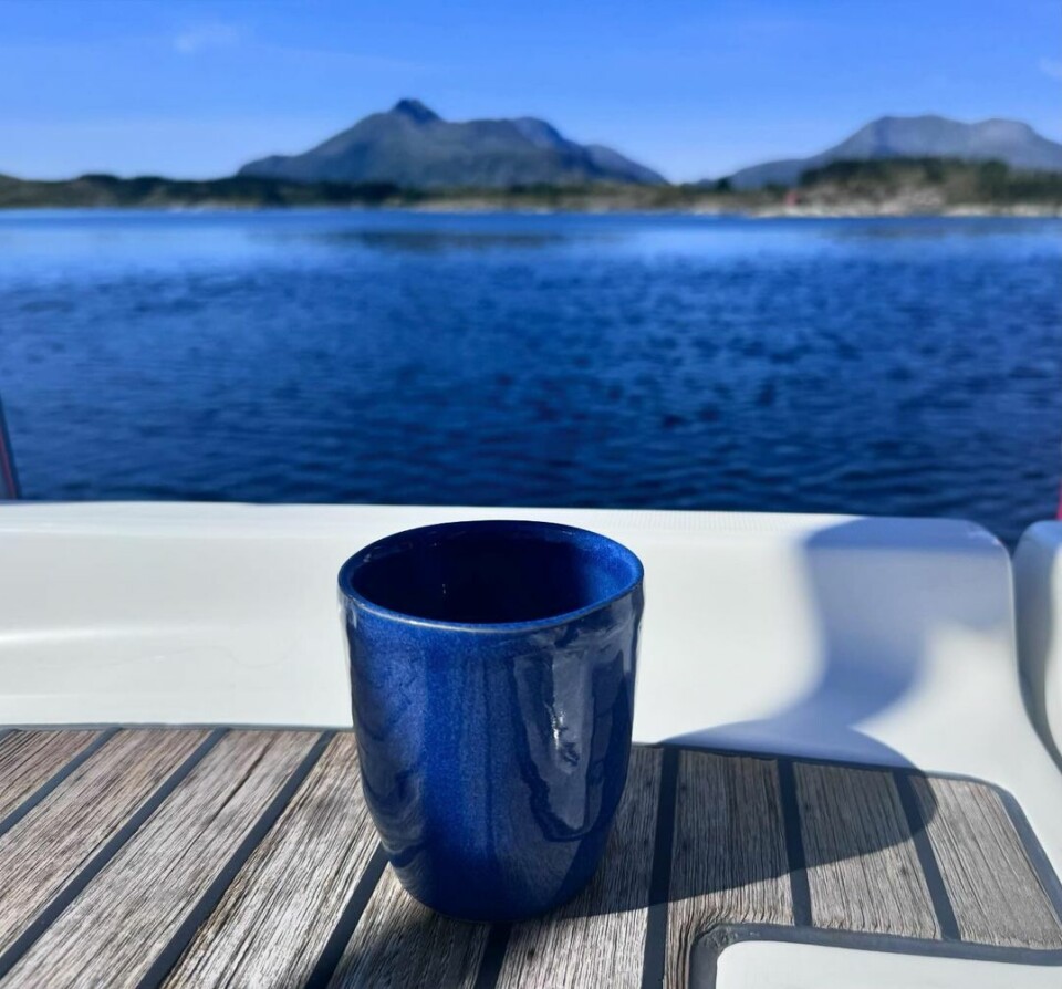 GOD MORGEN fra Rørøy, Vega. GOD MORGEN fra Røroy, Vega.