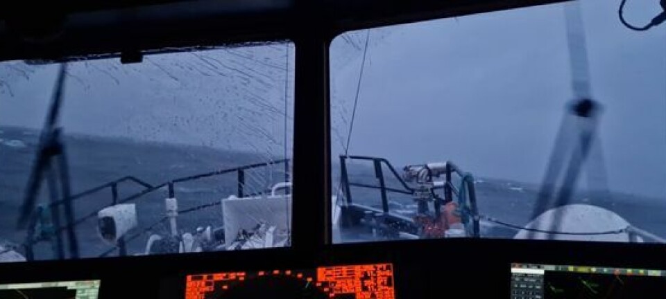 71 druknet hittil i år