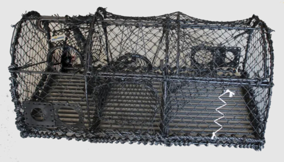 Hummerteine med fluktåpning og rømningsvei i form av bomullstråd.