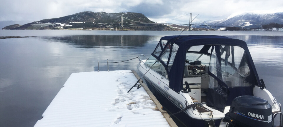 Hodefine høstantrekk