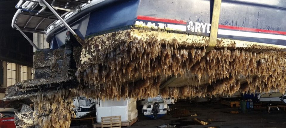 Båtlivet under vann