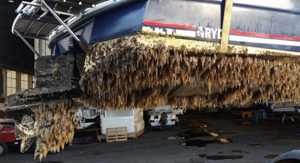 Båtlivet under vann