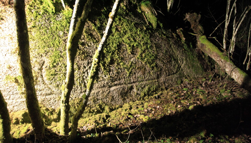 FUNNSTEDET: Slik så det ut da de først fikk syn på den vakre helleristningsbåten. FUNNSTEDET: Slik så det ut da de først fikk syn på den vakre helleristningsbåten.