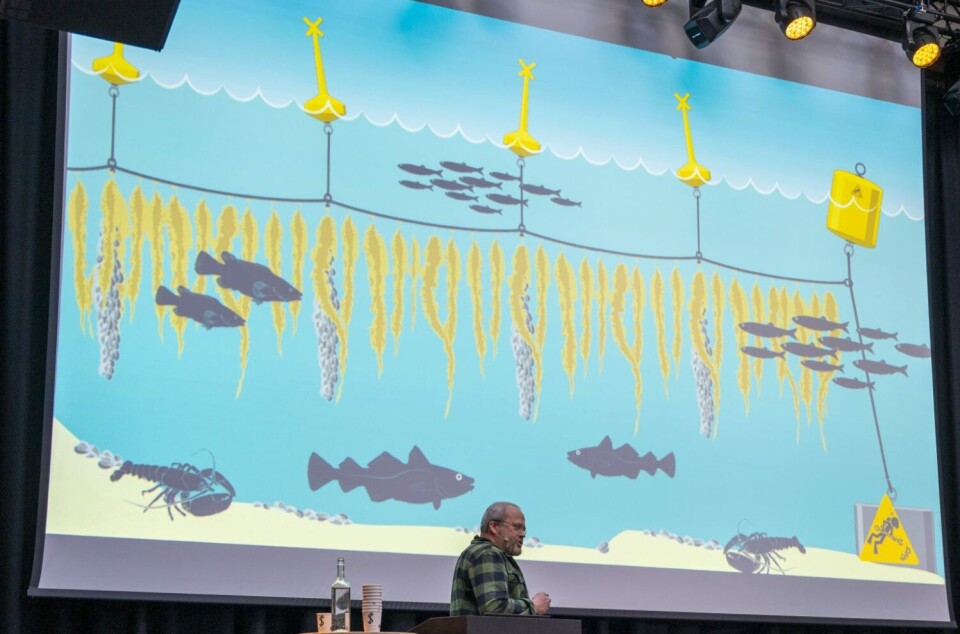 LØSNINGEN?: Lars Dalen i Marinreparatørene ser for seg at badebøyer kan være del av marine nyttehager der f.eks. tare kan dyrkes nedsenket under badebøyene. Marinreparatørene har allerede etablert en marin nyttehage på Nesodden.