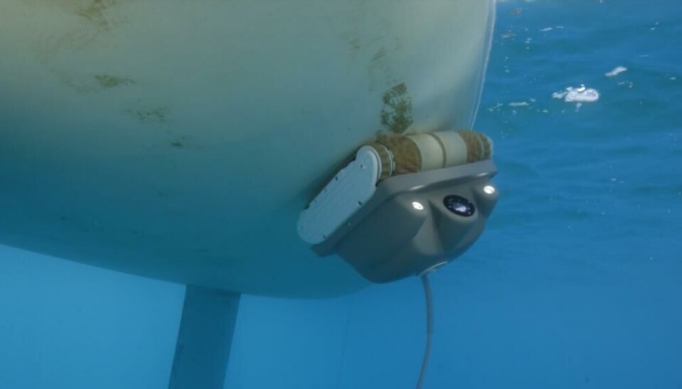 Robotkrabben i aksjon