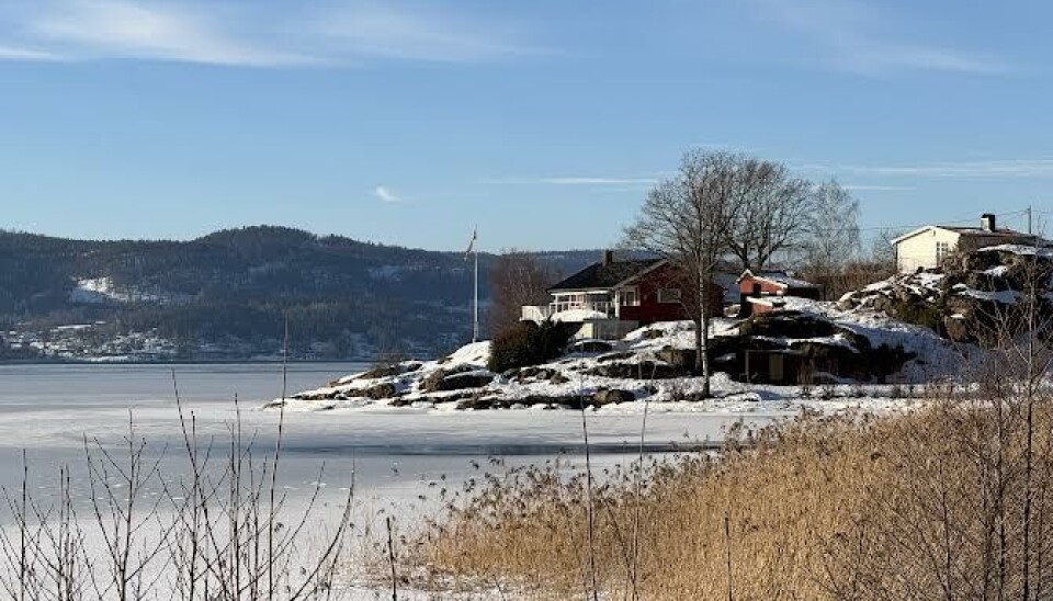 VAKKERT: Det er vakkert når rimfrossen takrørskog rammes inn av is og snø.