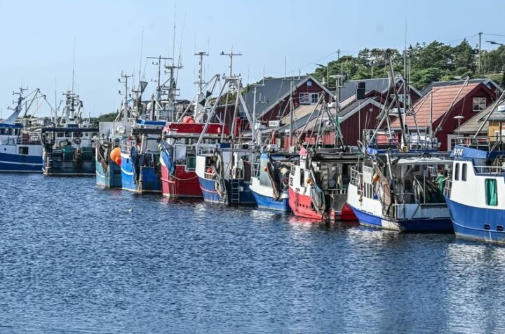 – Skal vi radere ut en hel næring for syns skyld?