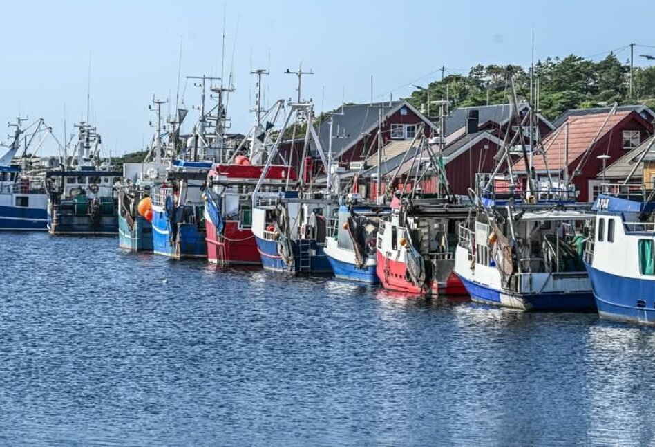 – Skal vi radere ut en hel næring for syns skyld?