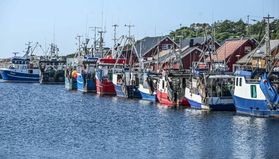 TOTALFORBUD MOT FISKE kan radere ut en hel næring i Oslofjordem. Det er det ikke behov for. Det er heller ikke derfor at fjorden dør, påpeker artikkelforfatteren. Bildet er fra Utgårdskilen på Hvaler. Det er anslått av fiskerinæringen i Oslofjorden representerer 175 årsverk på sjø og land.