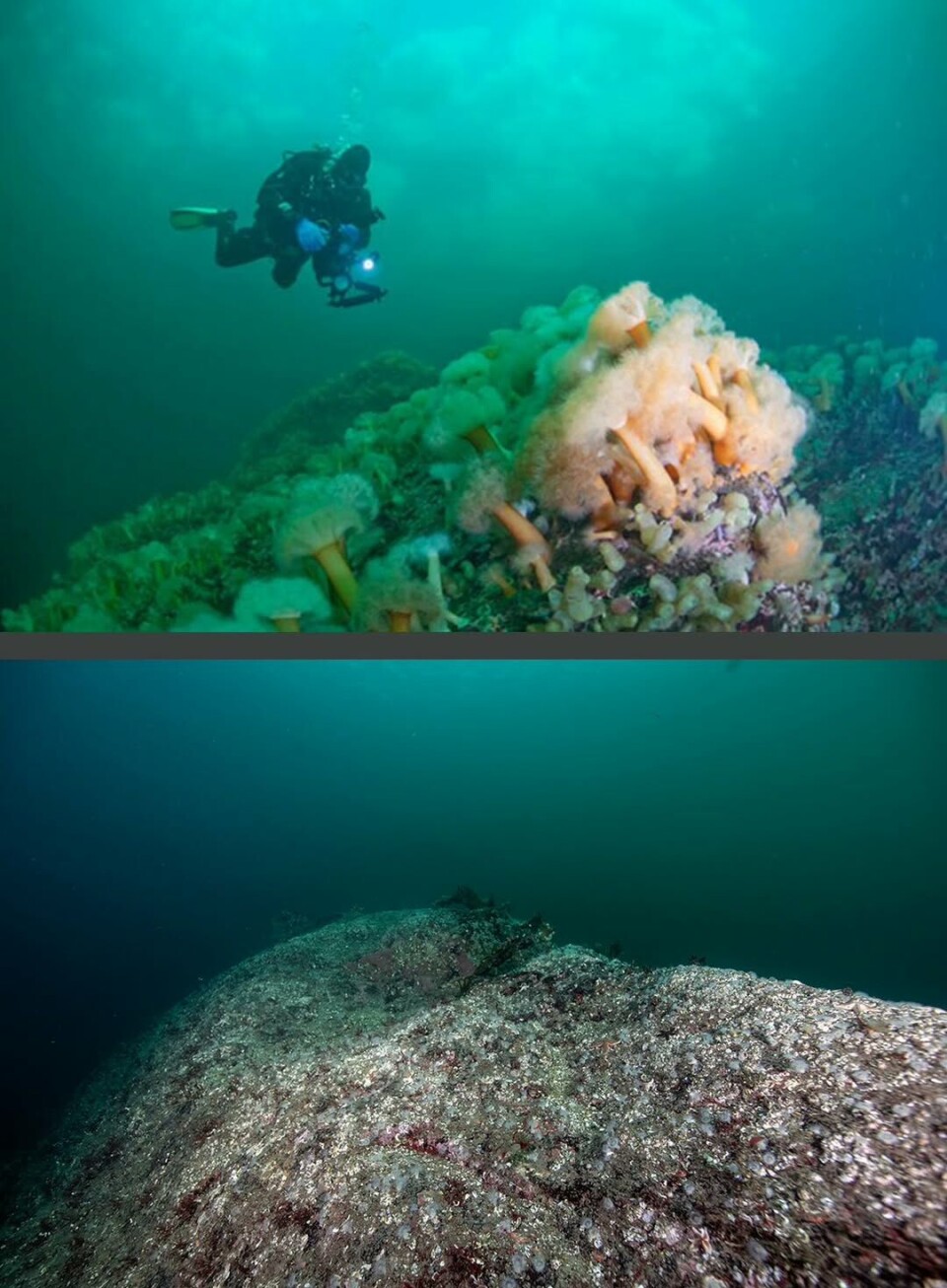 SAMME STED i Drøbaksundet med 12 års mellomrom.