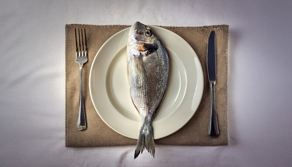 SJØEN: Et enkelt måltid er ikke alltid så enkelt å få i seg på sjøen, når båten gynger og hiver på seg.