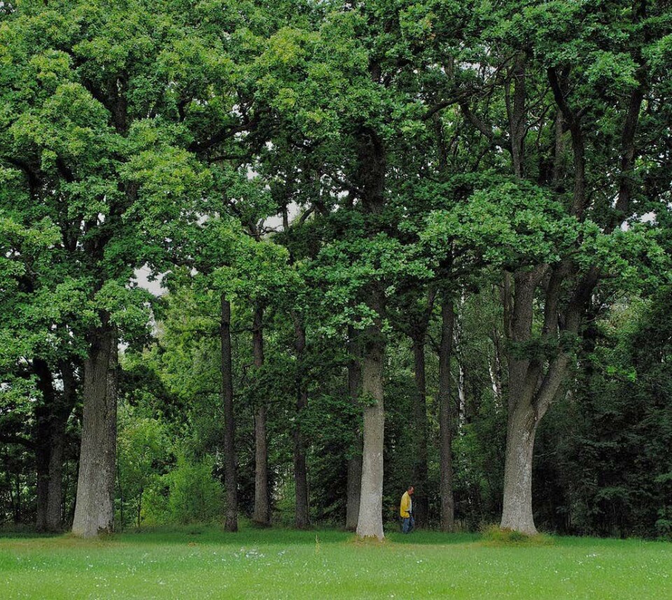 Sjøhus, Sjøparken Stavern