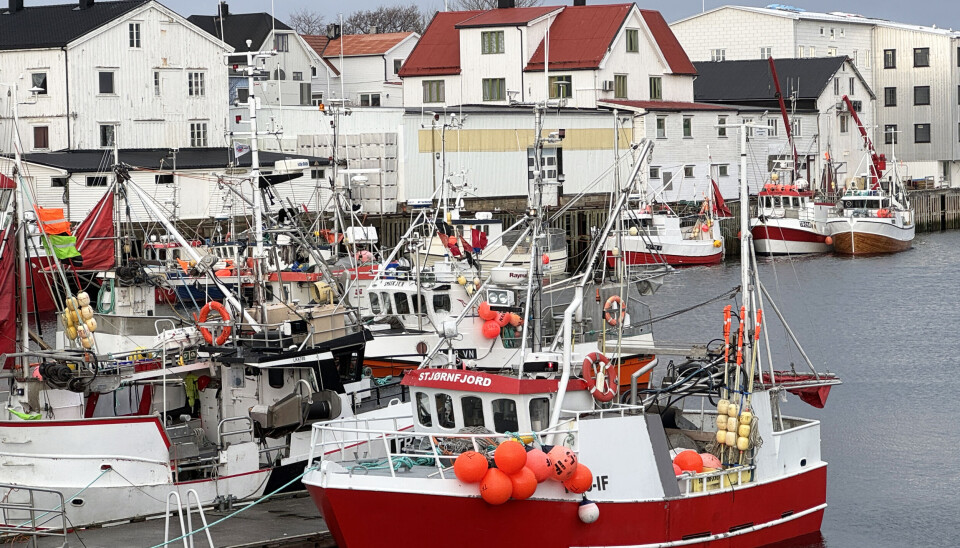 HENNINGSVÆR: Lofotfisket er i full gang i Henningsvær. HENNINGSVÆR: Lofotfisket er i full gang i Henningsvær.