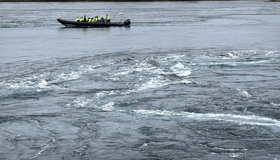 SALTSTRAUMEN: Verdens kraftigste havstrøm.