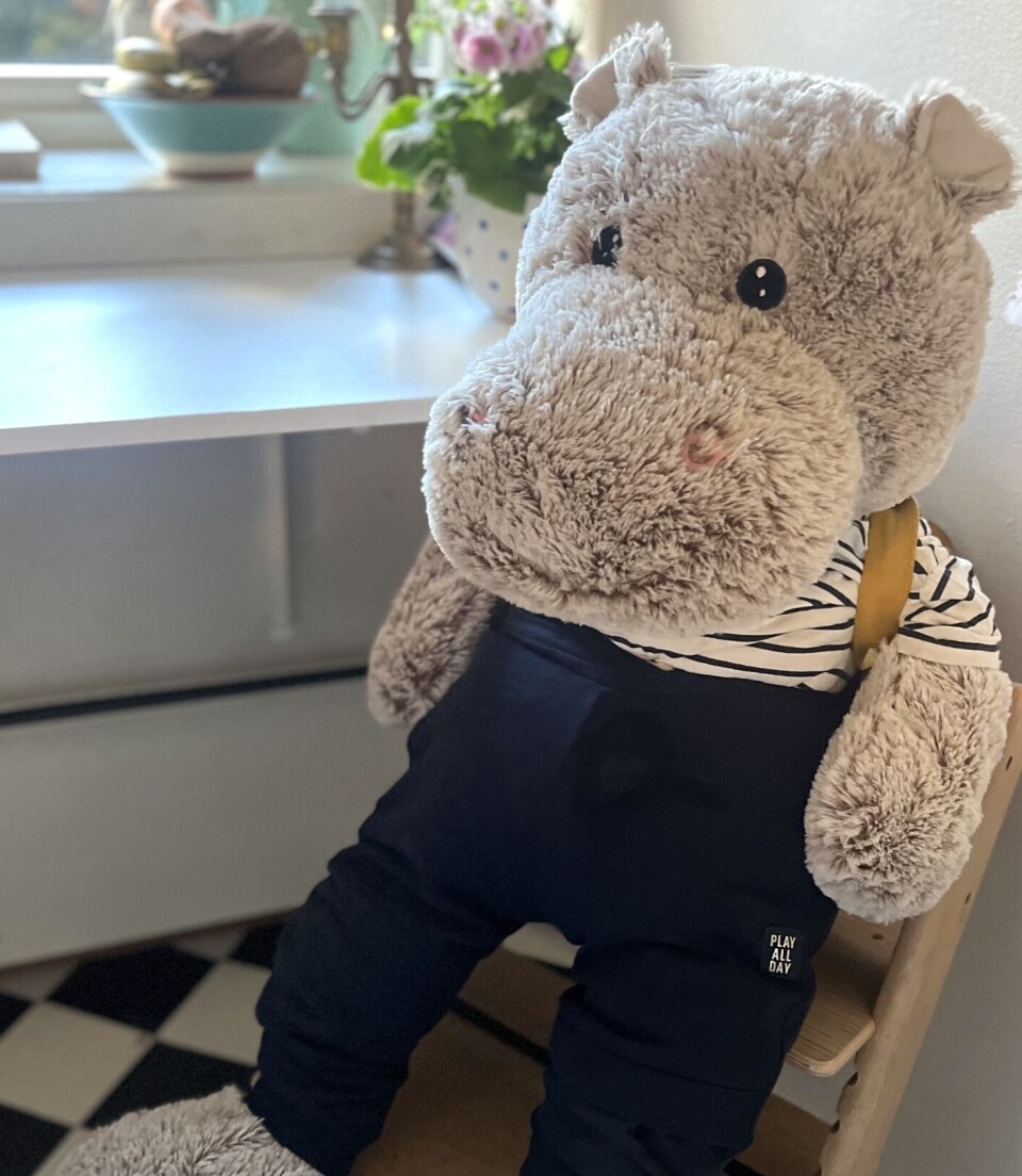 BAMSEN BLID: Denne bamsen stepper inn som maskot for Rask i sommer, og er klar for spennende båteventyr rundt om i landet. BAMSEN BLID: Denne bamsen stepper inn for Rask i sommer, og er klar for spennende båteventyr rundt om i landet.