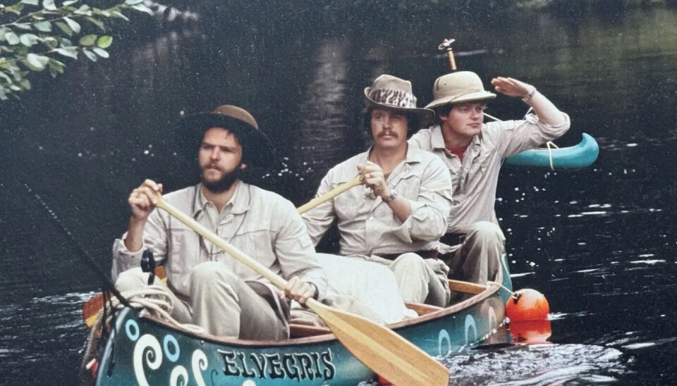 Elvegris frem fra gjemselen