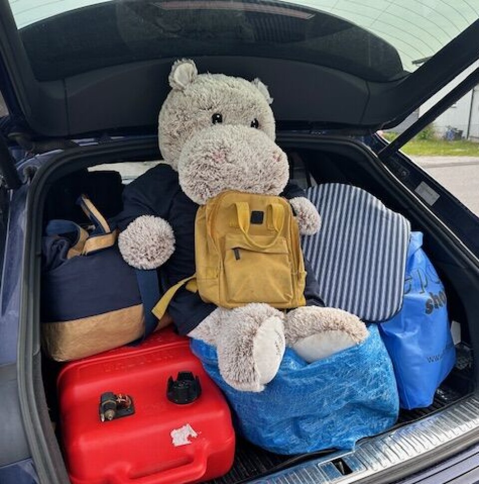 PAKKET OG KLART: Her sitter Blid klar i bagasjerommet, spent på hva som venter på sjøen.