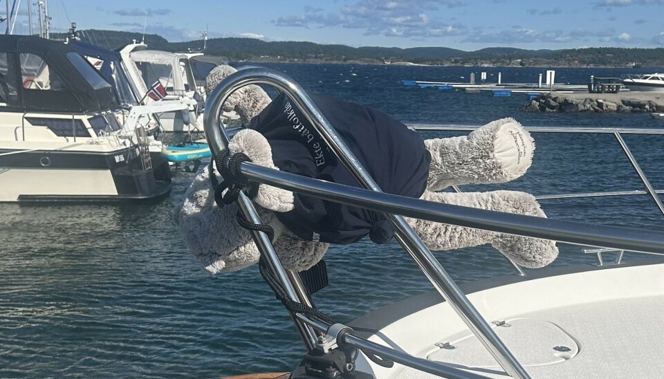 STERK VIND: Denne helga har det blåst så mye at Blid nesten fløy av gårde.