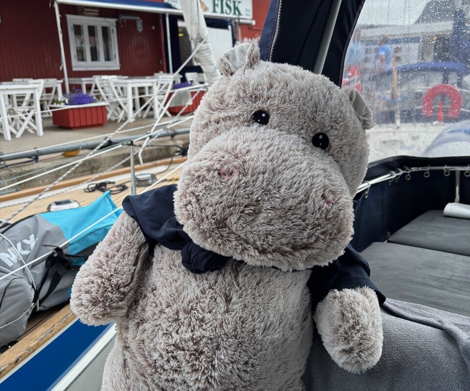 BAMSE PÅ TUR: Blid har reist med ny familie fra kragerø til Nevlunghamn.