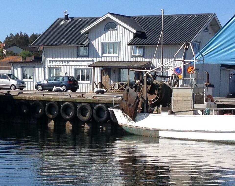 FISKEMUSEUM: Bua byr også på et gammelt fiskemuseum som er verdt en titt.