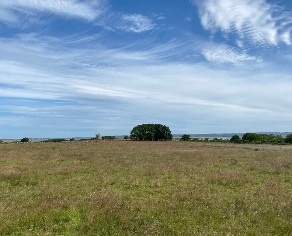 NATURRESERVAT: Vendelsöarna er en lokal favoritt, og ligger ikke lange turen unna Bua.