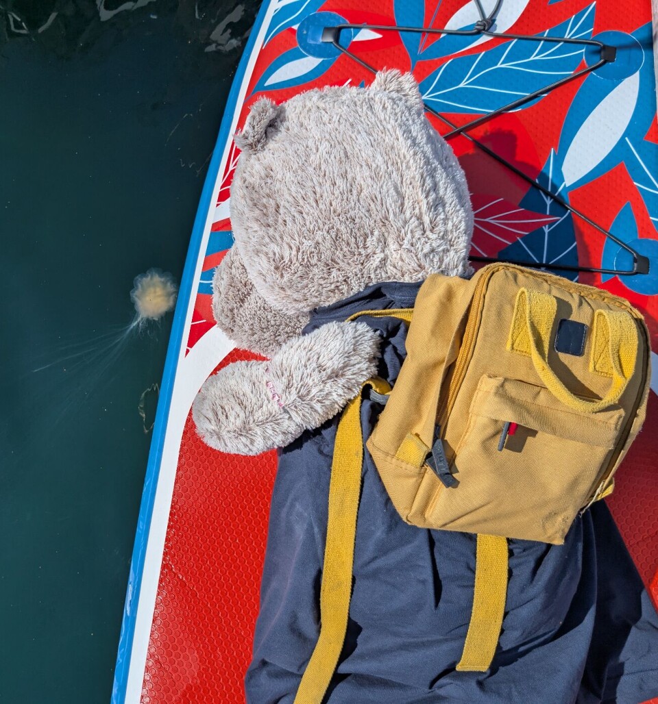 SUP: Gøy med SUP, men skummelt med maneter.