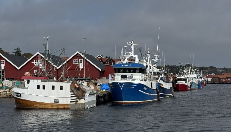 MASSIV MARKERING: av fiskerienes dag i Utgårdskilen. Fiskerne håper at det fortsatt skal være fiskefartøyer og ikke fritidsbåter i fiskerihavna på Hvaler.