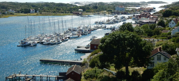 - Redusert tråling har endret livet i Kosterhavet