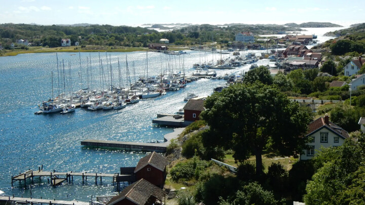 - Redusert tråling har endret livet i Kosterhavet