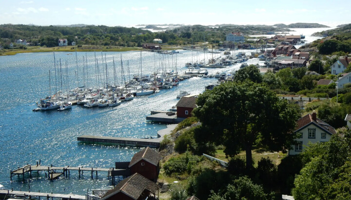 - Redusert tråling har endret livet i Kosterhavet