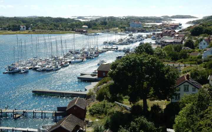 - Redusert tråling har endret livet i Kosterhavet