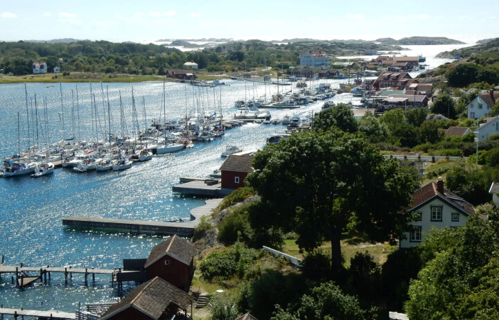 - Redusert tråling har endret livet i Kosterhavet
