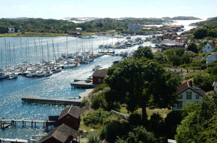 - Redusert tråling har endret livet i Kosterhavet