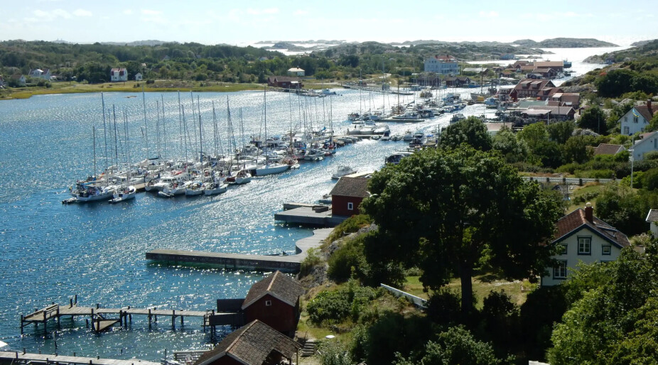 - Redusert tråling har endret livet i Kosterhavet
