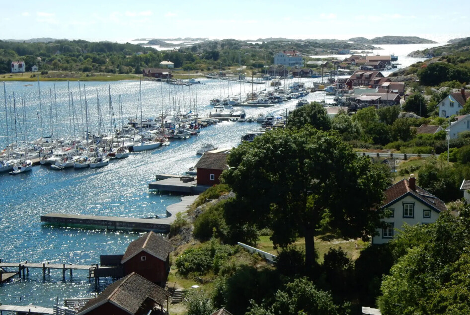 - Redusert tråling har endret livet i Kosterhavet
