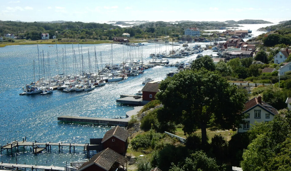 - Redusert tråling har endret livet i Kosterhavet